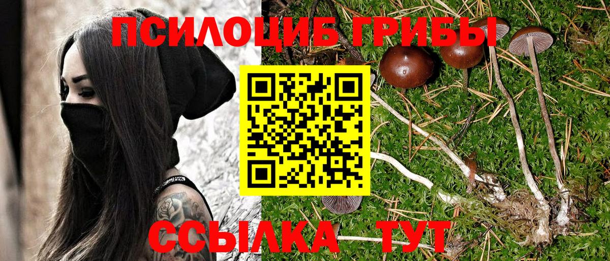 Галлюциногенные грибы мухоморы  Вход с VPN  купить наркотик  Псилоцибиновые грибы прущие грибы  Златоуст 