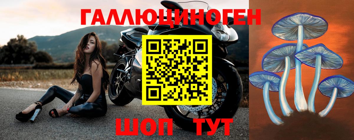 Псилоцибиновые грибы мицелий Златоуст